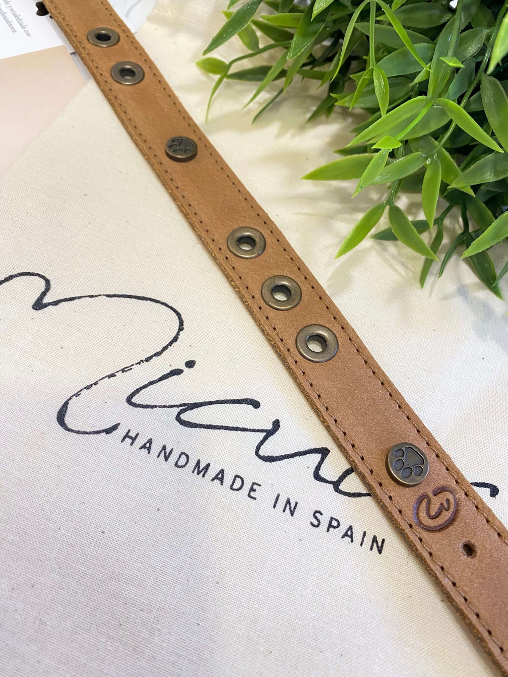 Micuir Pets Collar Tachas - M CUERO image