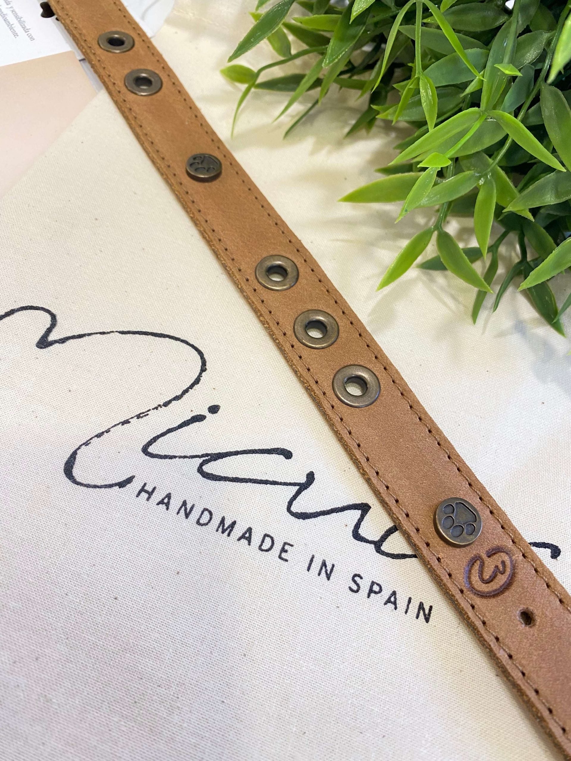 Micuir Pets Collar Tachas - M CUERO image