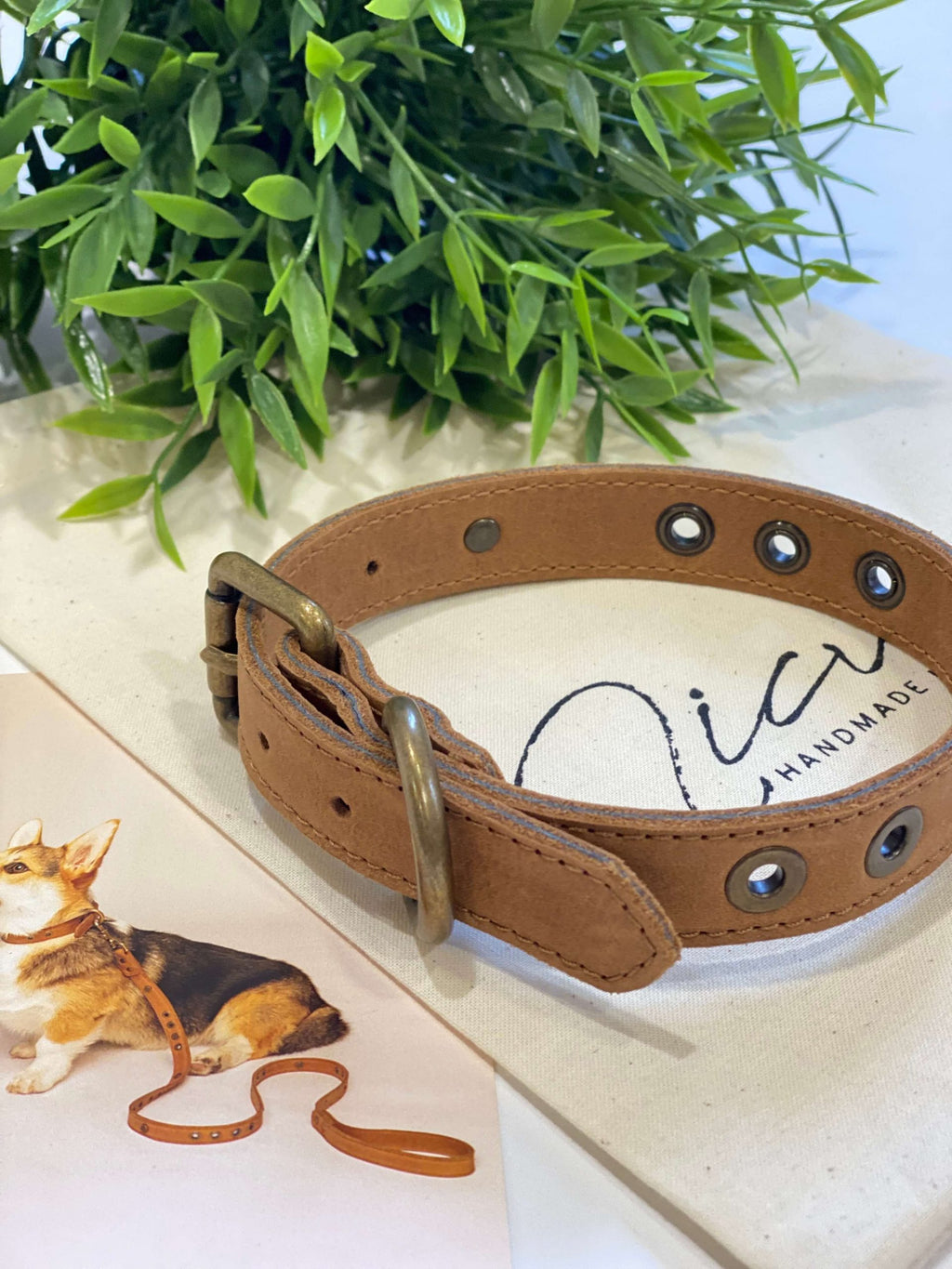 Micuir Pets Collar Tachas image 2