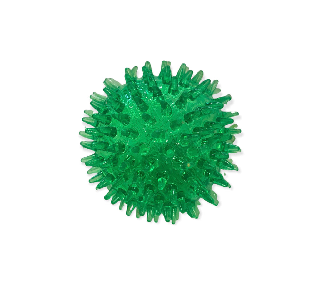 CACTUS 3 EN 1 image 2