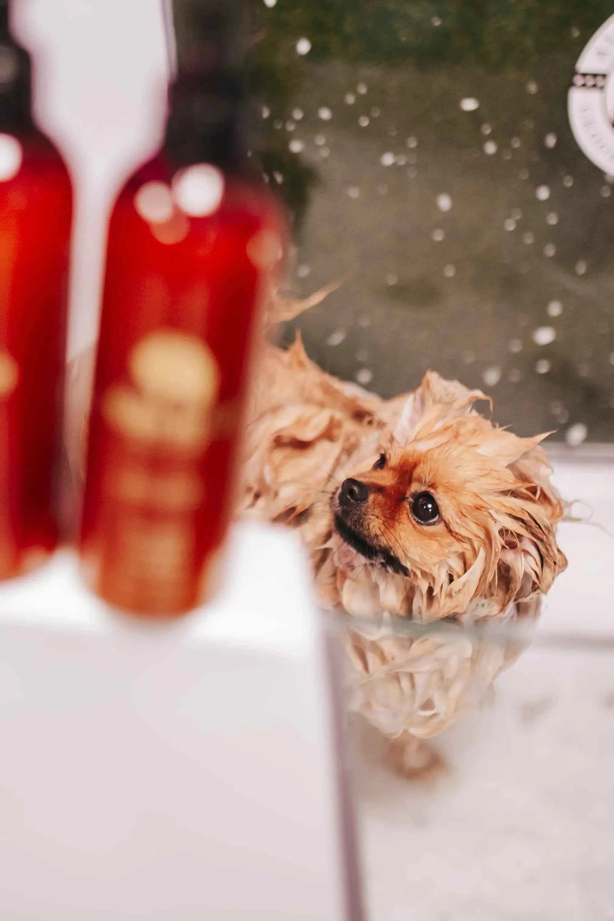 Always Your Friend Acondicionador Magic Illusion Final Touch