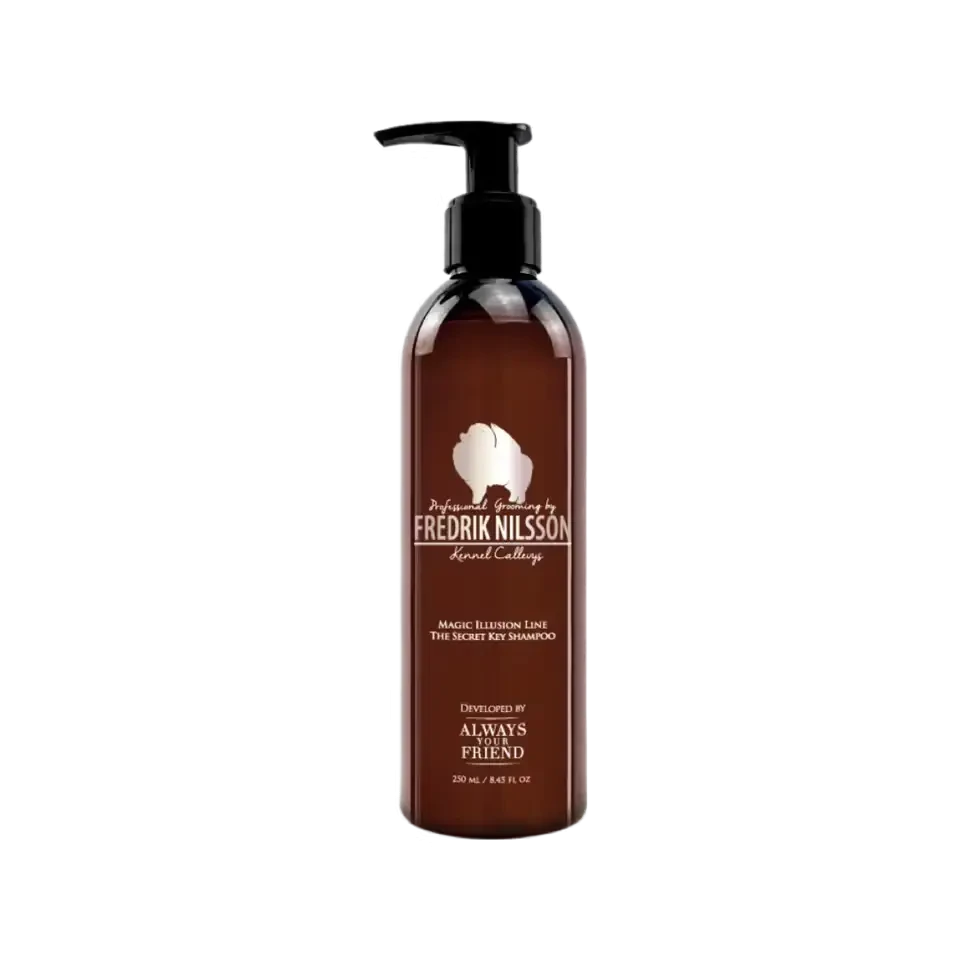 Always Your Friend Champu Magic Illusion Secret Key