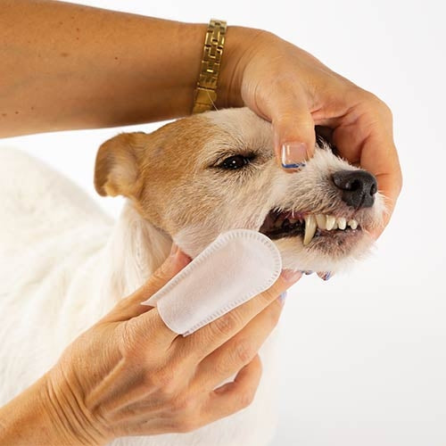 Toallitas dediles limpiadientes image 3