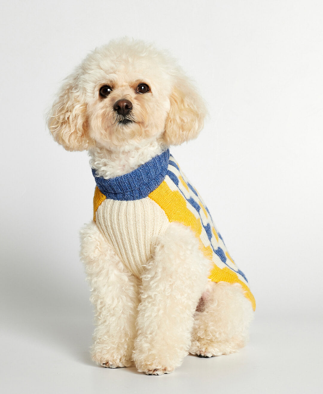 Jersey para perro Donald image 1