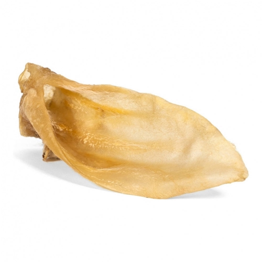 Oreja de cordero para perro image 1