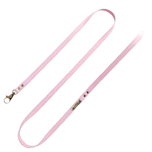 Correa Rosa Funkylicious image 0