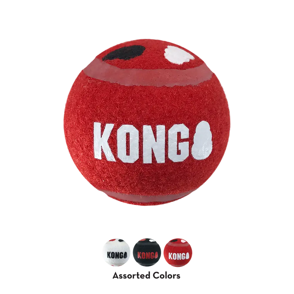 KONG Pack 3 pelotas sport signature image 2
