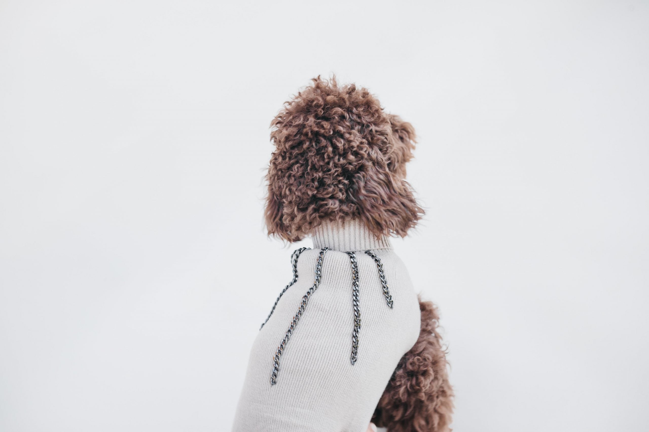 Jersey beige Le Dangerouge M image 4