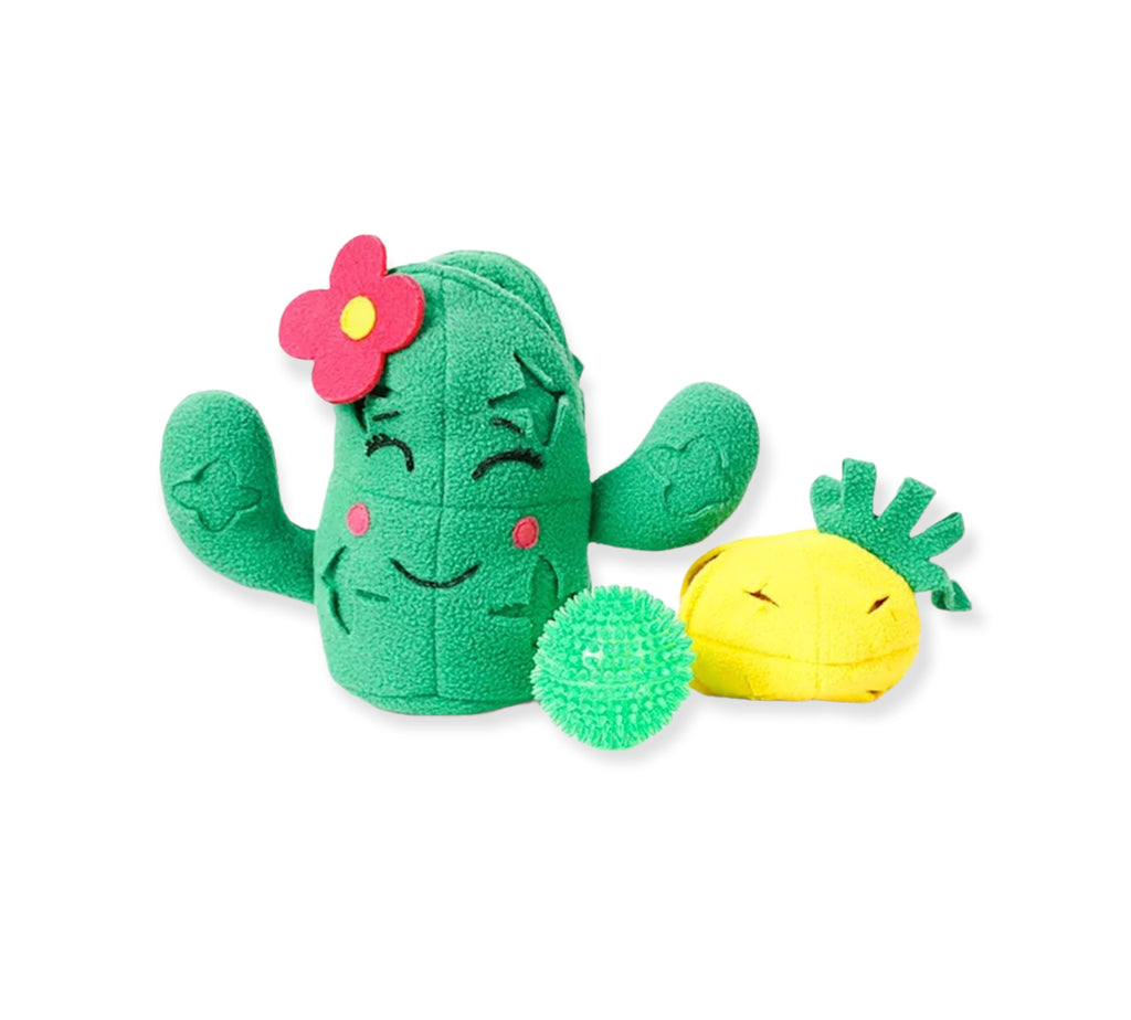 CACTUS 3 EN 1 image 0