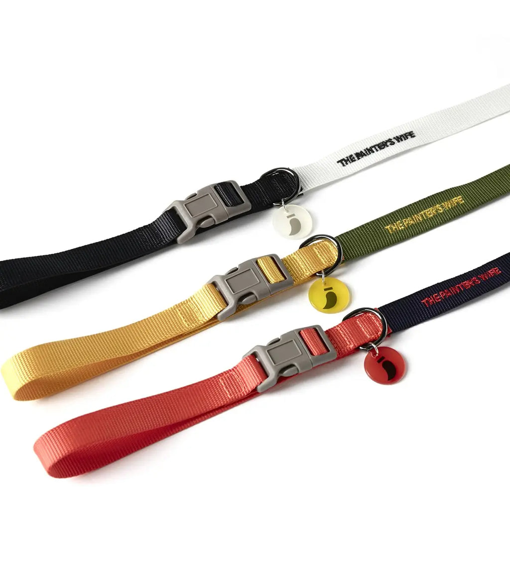 Correa Sonia Marino y Blanco