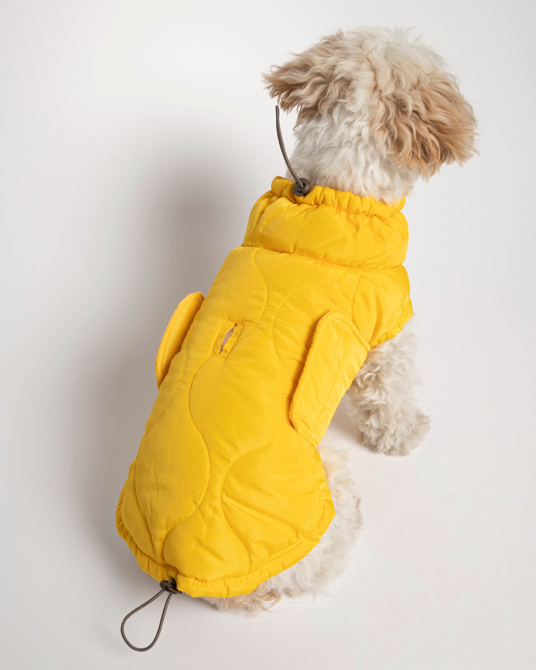 Plumas Puffer Abrigo Perro image 9