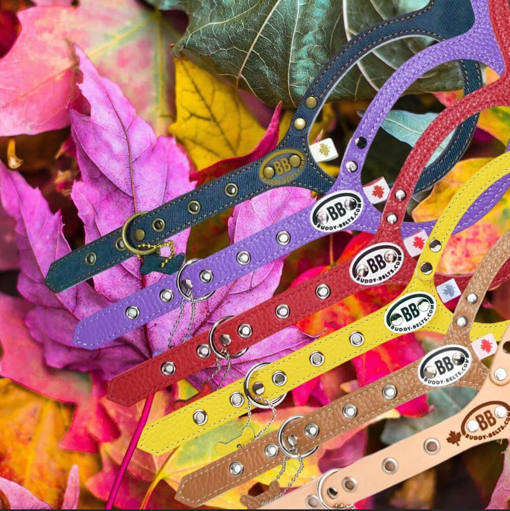 Buddy Belts Luxury Hot Pink image 3