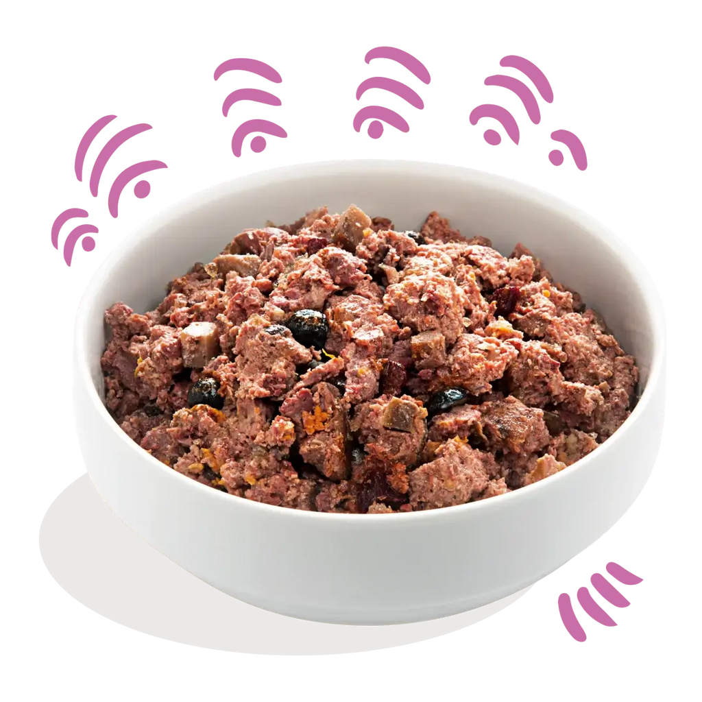 Comida húmeda Ciervo Pato y Arándanos image 1