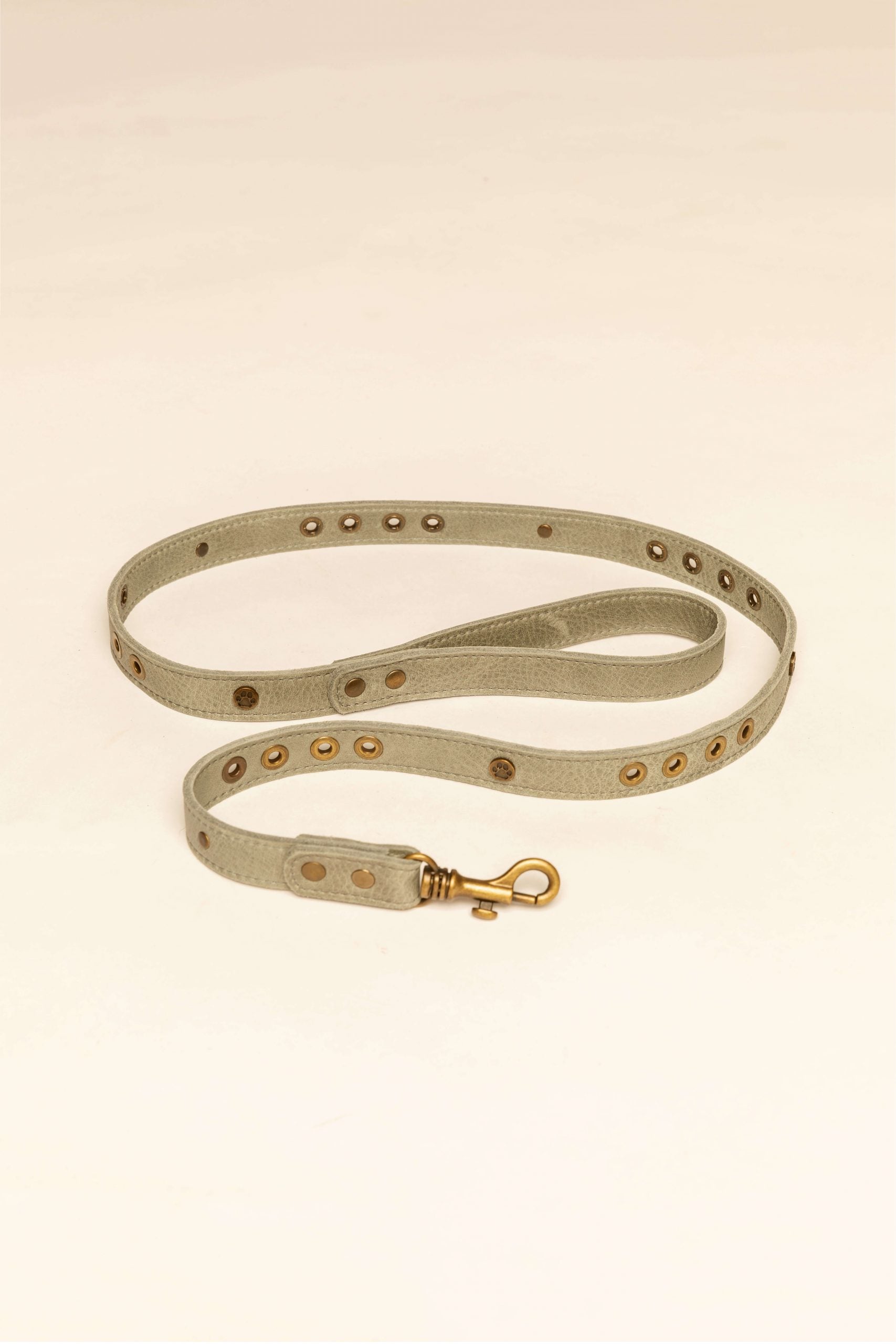 Micuir Pets Correa Tachas image 7