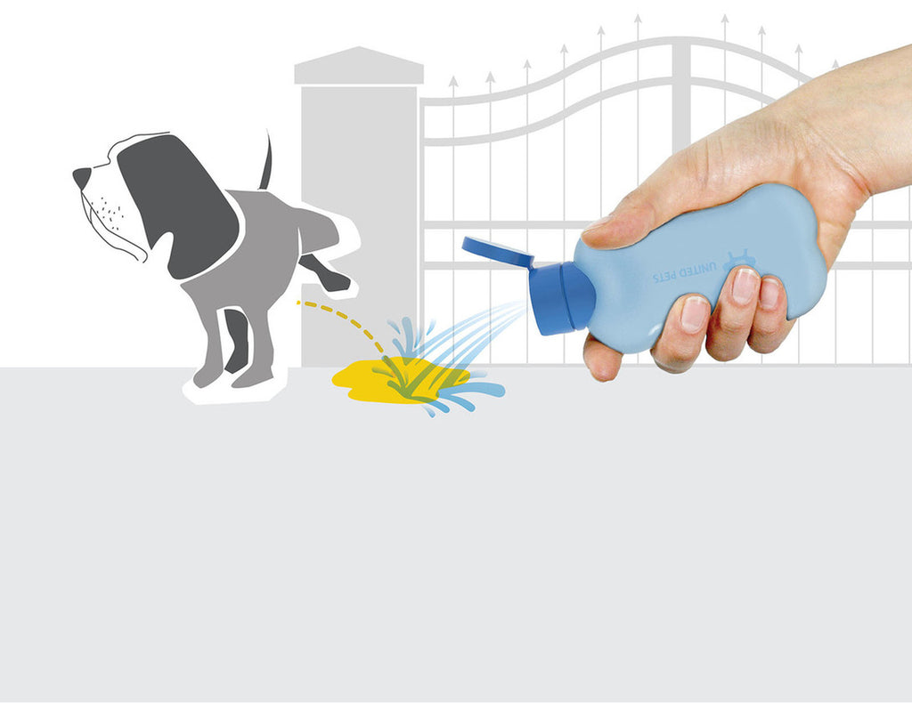 Botella Bon Ton Pi image 1