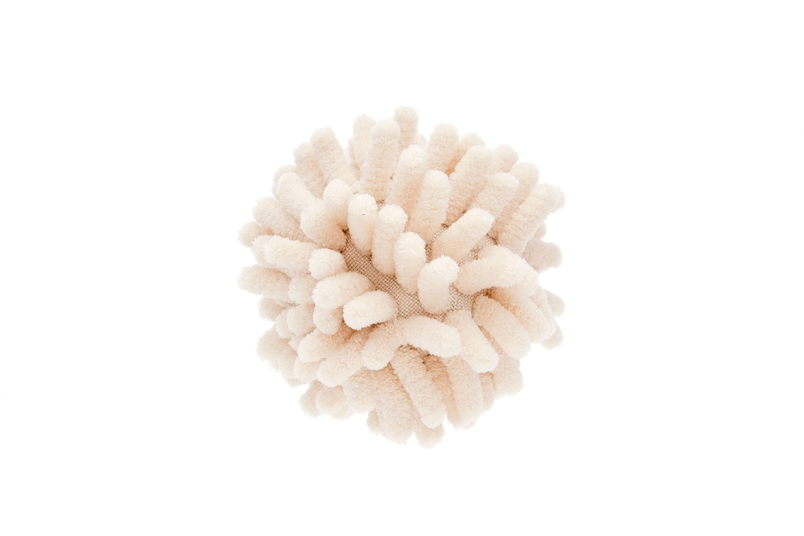 Pelota suave pelosina image 0