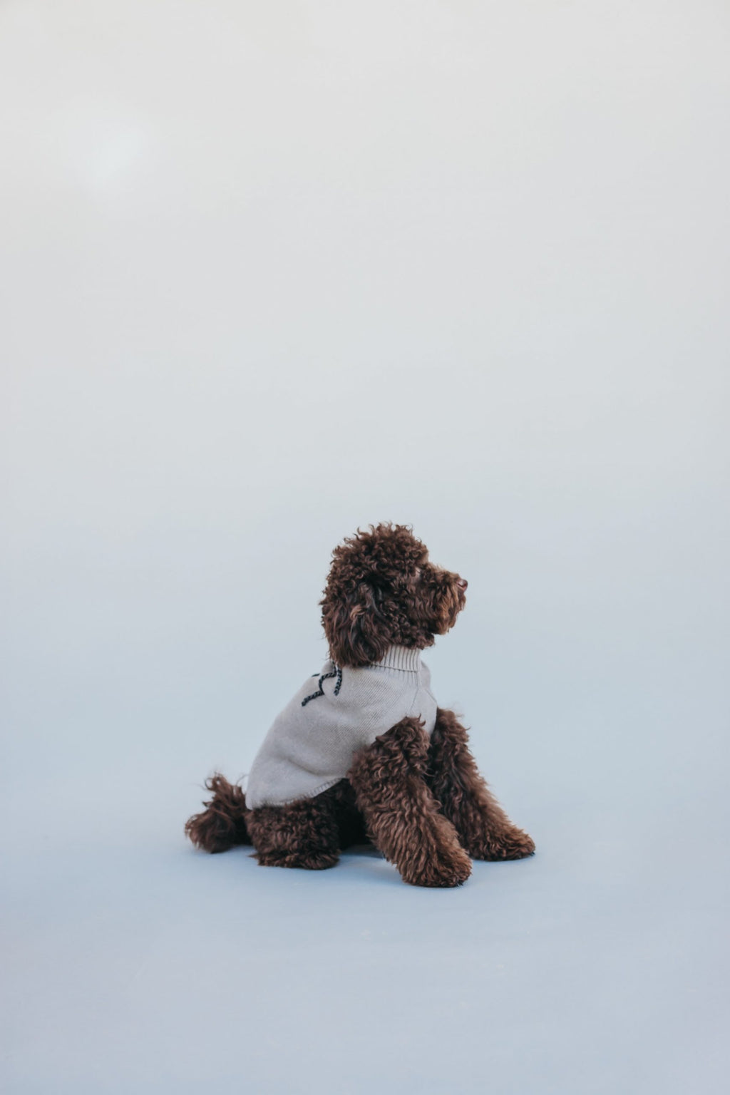 Jersey beige Le Dangerouge L image 2