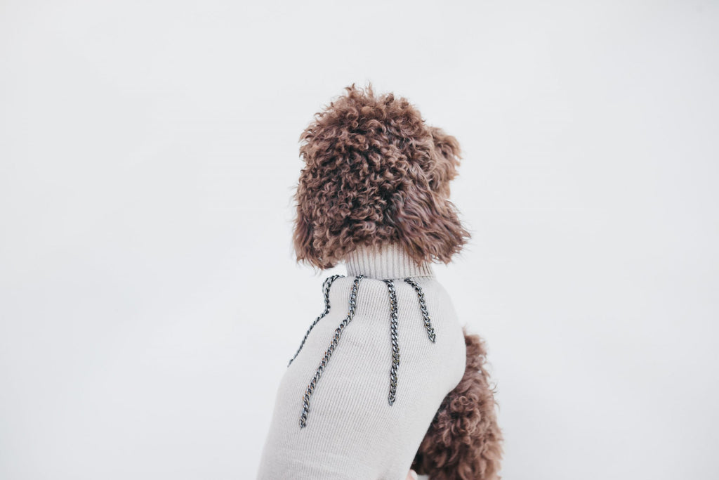 Jersey beige Le Dangerouge L image 5