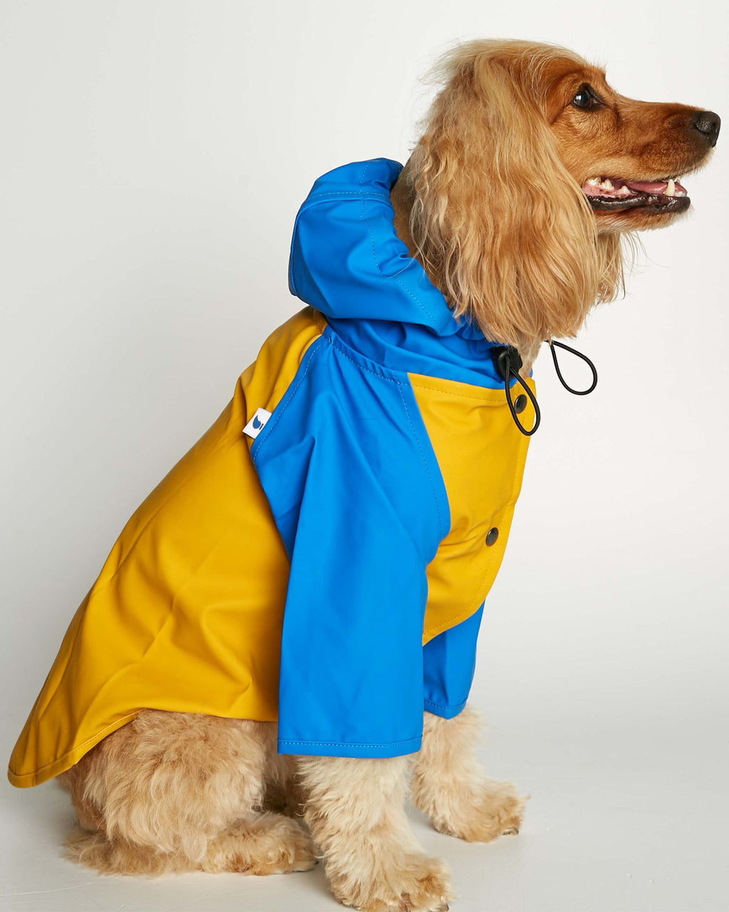 Chubasquero Sarah Azul y Amarillo image 3