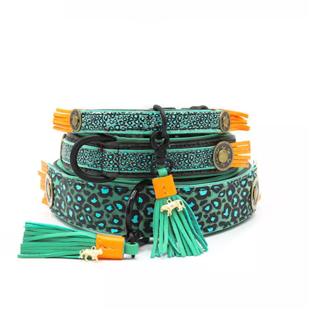 Dwam collar Blue Bird image 0