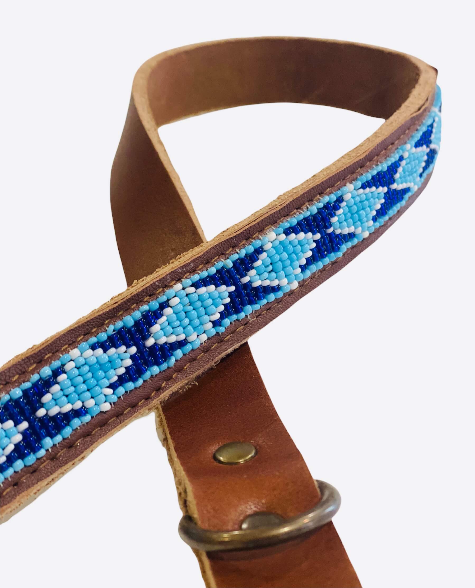 Correa Madagascar image 1