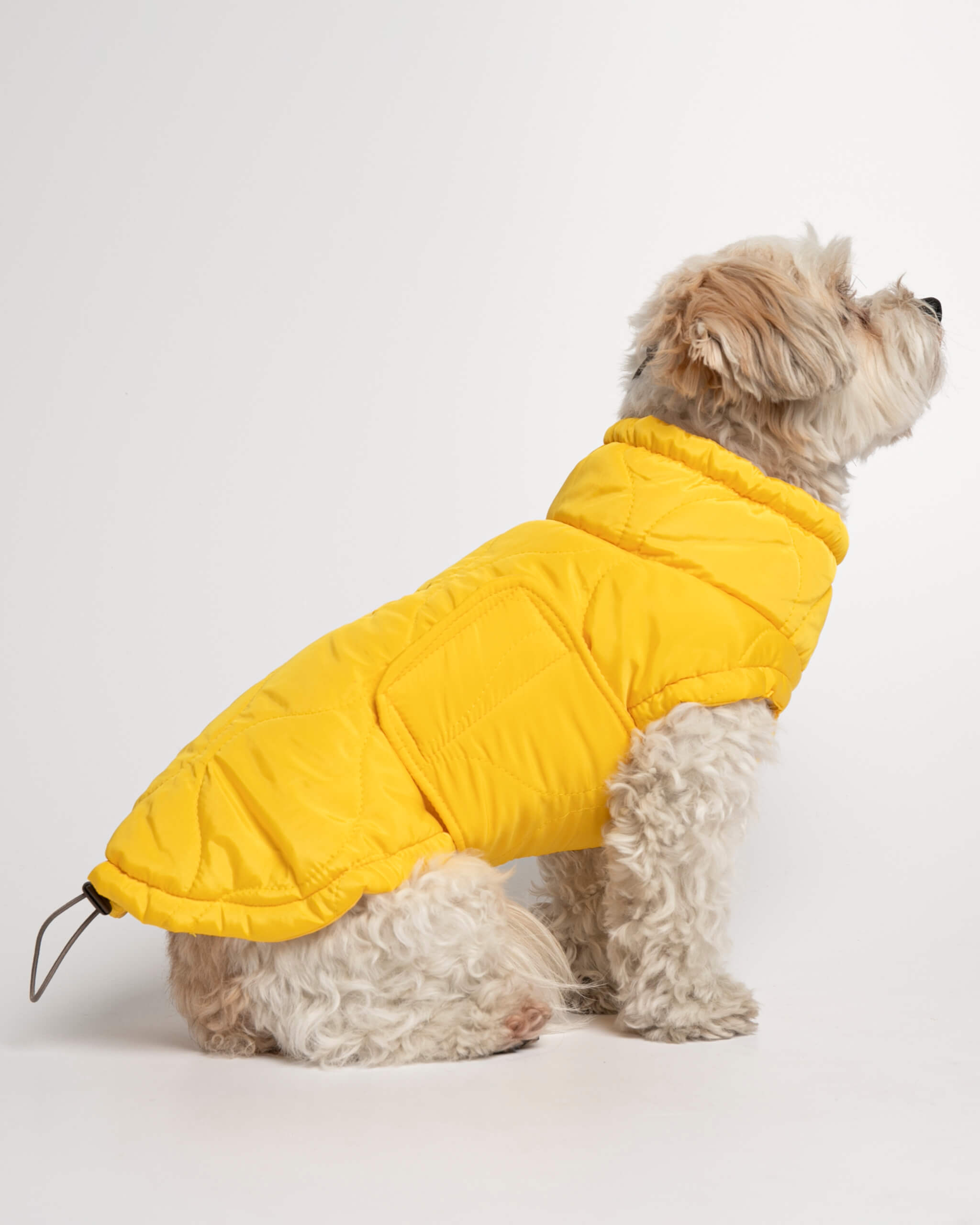 Plumas Puffer Abrigo Perro image 6