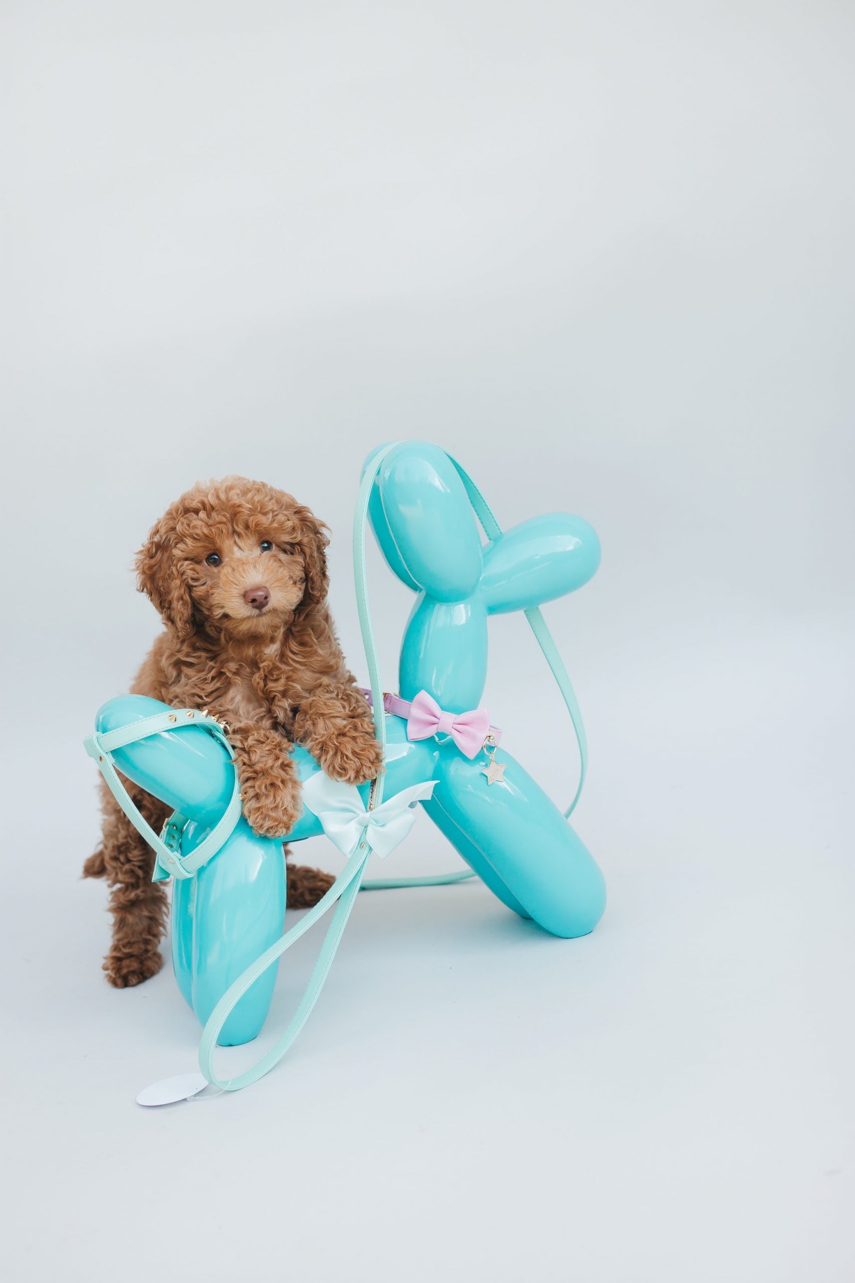 Collar Classy Rosa - S/M image 2