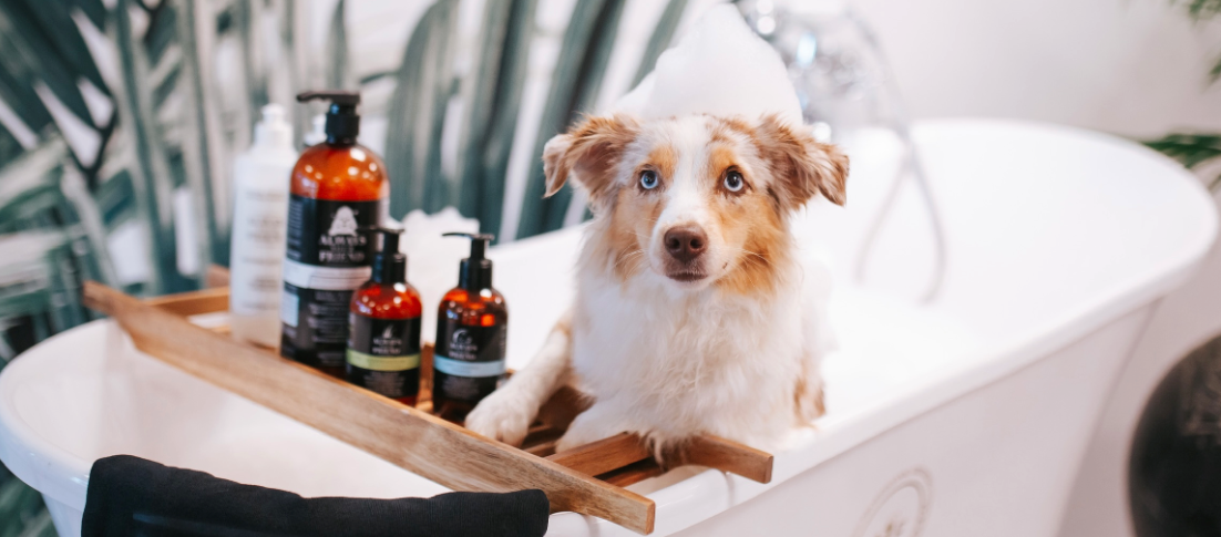 banner higiene y cuidados