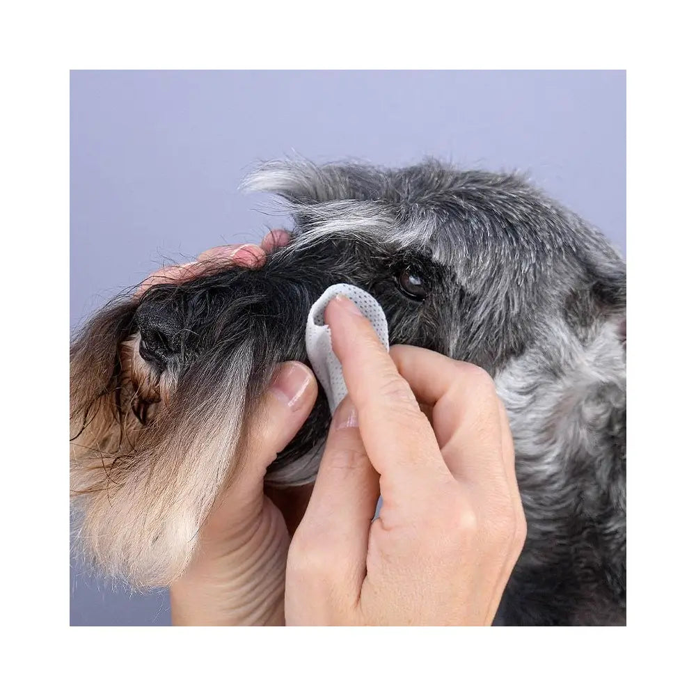 Discos Limpiadores de Ojos para perros 100 Uds.